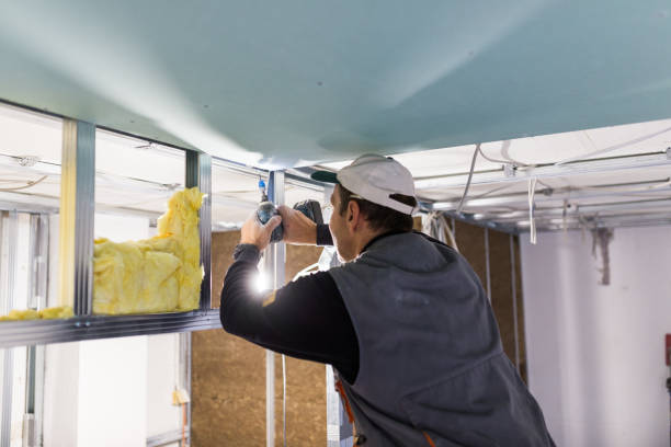 Best Geographic-Specific Insulation Services in Pembroke, NC
