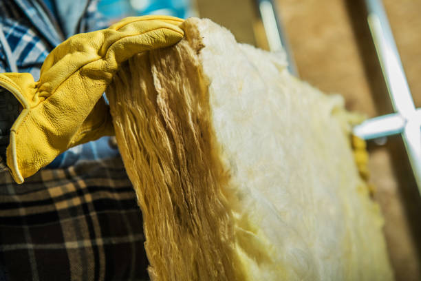 Best Eco-Friendly Insulation in Pembroke, NC