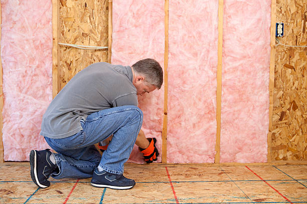 Best Residential Insulation in Pembroke, NC