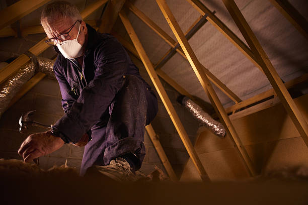 Types of Insulation We Offer in Pembroke, NC